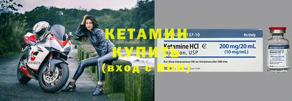 амф Снежногорск